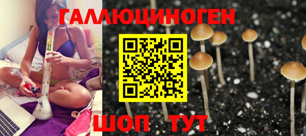 Галлюциногенные грибы Cubensis Петропавловск-Камчатский