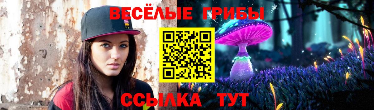 Петропавловск-Камчатский  Галлюциногенные грибы Magic Shrooms  Вход с VPN 