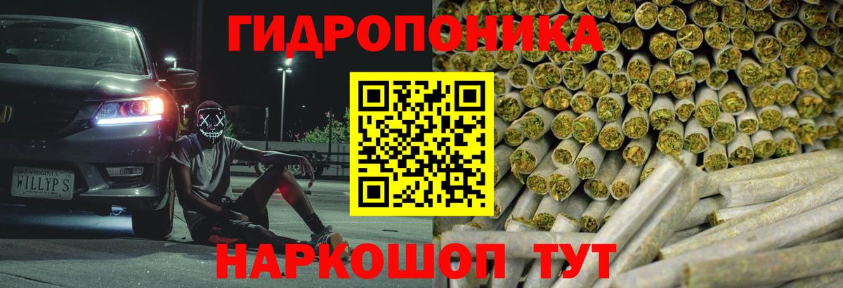 Канабис сатива  Вход с VPN  Петропавловск-Камчатский  МАРИХУАНА марихуана 